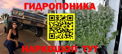 кокс Обь