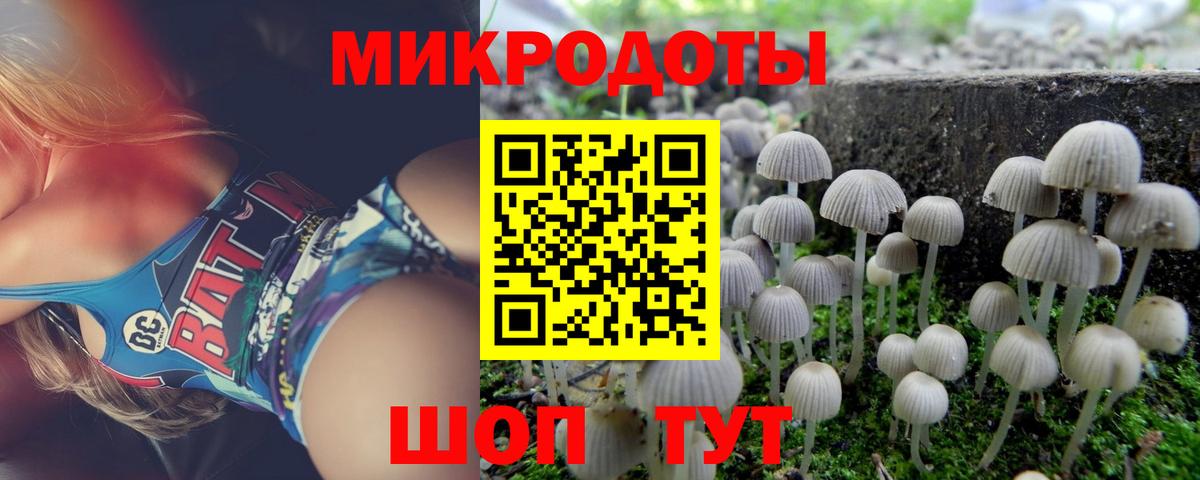 Приморско-Ахтарск  Галлюциногенные грибы мицелий  Вход с VPN 