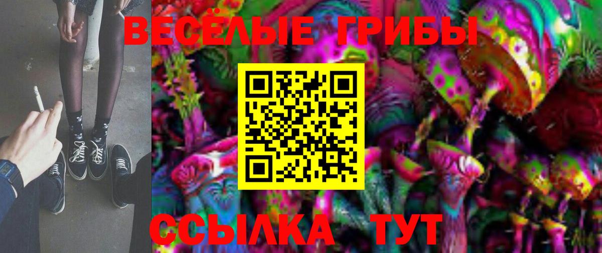 Галлюциногенные грибы GOLDEN TEACHER Приморско-Ахтарск